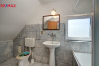 REMAX Delux
