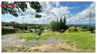 REMAX Delux