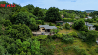 REMAX Delux