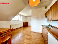 REMAX Delux