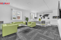 REMAX Delux
