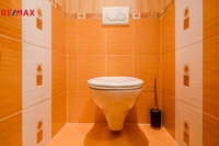 REMAX Brno