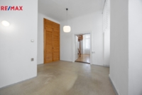 REMAX Delux
