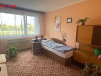 REMAX Delux
