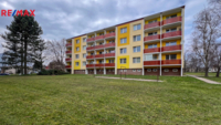 REMAX Delux
