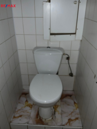 2633320.jpg