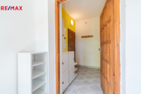 REMAX Delux