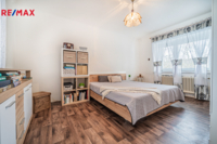 REMAX Delux