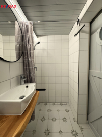 REMAX Delux
