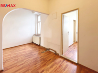 REMAX Delux