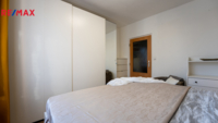 REMAX Delux