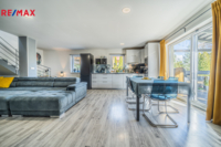 REMAX Delux
