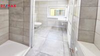 REMAX Delux