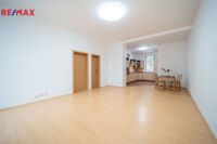 REMAX Delux