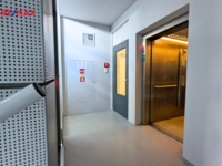 2898164.jpg