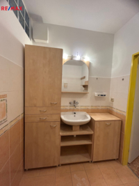 REMAX Delux