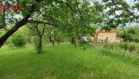 REMAX Delux