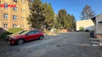 REMAX Delux