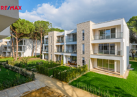 REMAX Delux