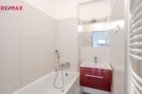 REMAX Delux