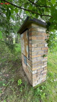 2884322.jpg