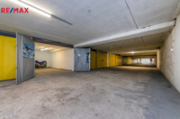 REMAX Delux