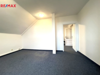 REMAX Delux