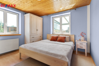 REMAX Delux