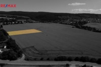 REMAX Brno