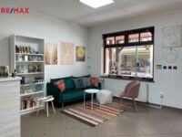 REMAX Brno