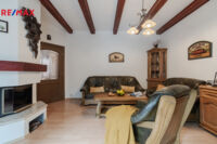 REMAX Delux