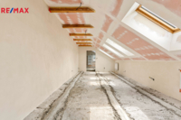 REMAX Delux