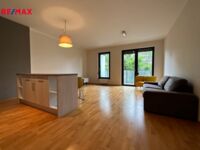 REMAX Delux