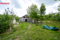REMAX Delux
