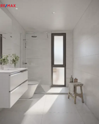 REMAX Delux
