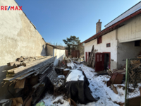 REMAX Delux