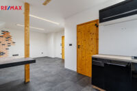 REMAX Delux