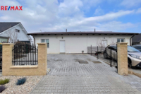 REMAX Delux
