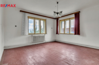 REMAX Delux