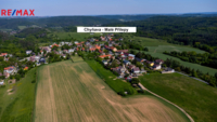 REMAX Delux