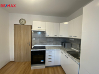 REMAX Delux