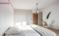 REMAX Delux