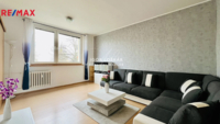 REMAX Delux