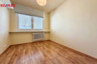REMAX Delux