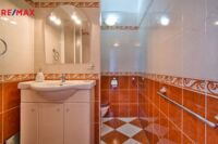 REMAX Delux