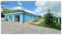 REMAX Delux