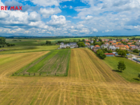 REMAX Delux