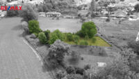 REMAX Delux