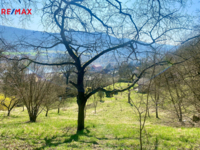 REMAX Brno