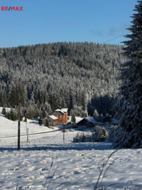 REMAX Delux
